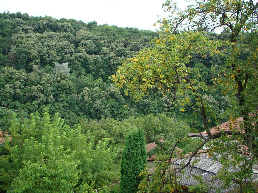 Guest House Selin Велико-Тирново Екстер'єр фото